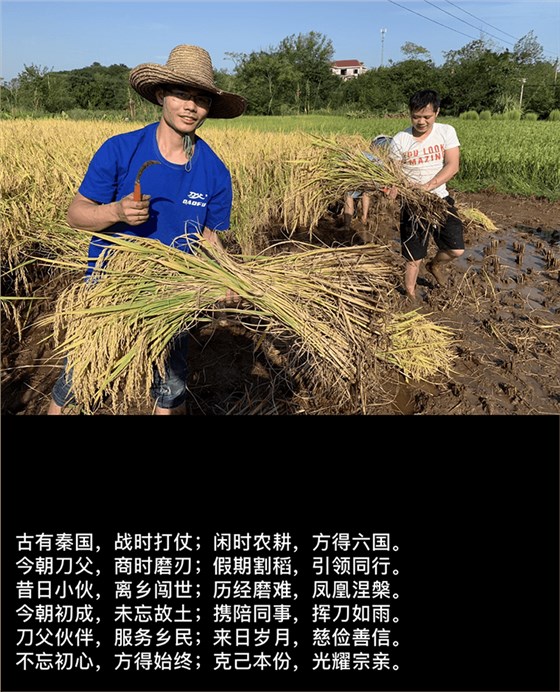 國慶放假期間，刀父助力割稻谷大豐收